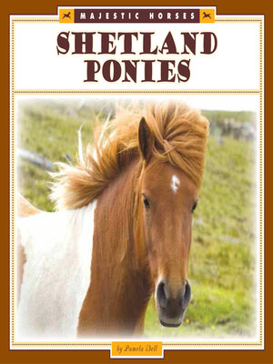 cover image of Shetland Ponies
